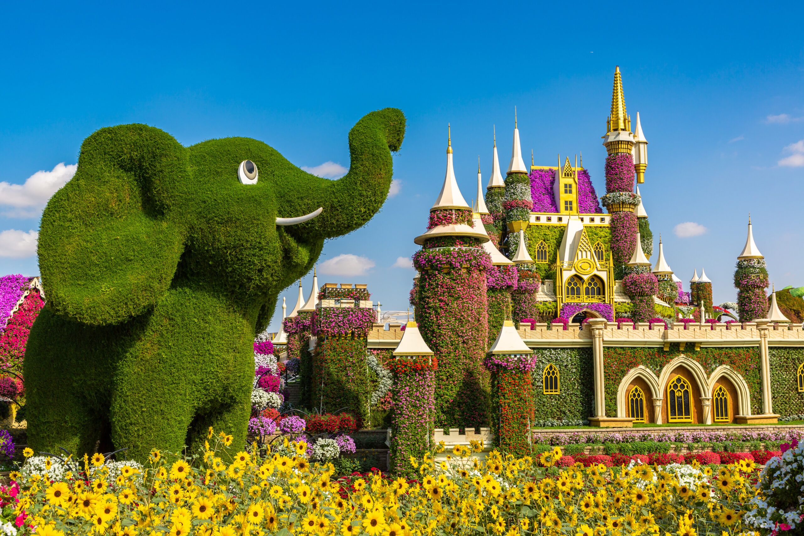 DUBAI MIRACLE GARDEN